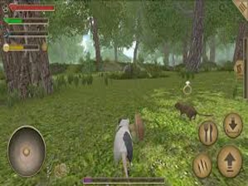 Forest Mouse
